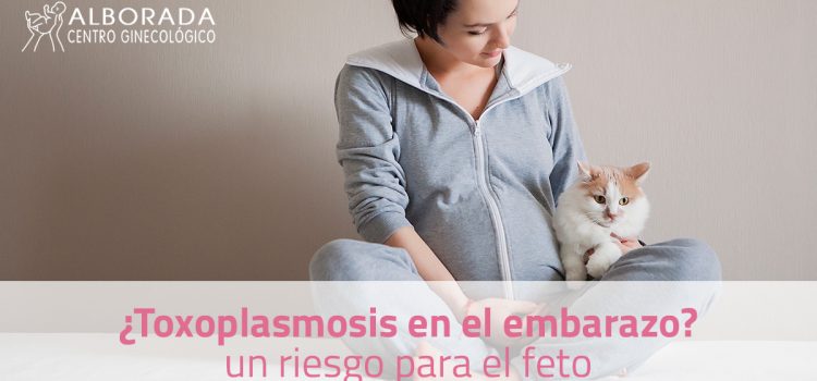 ¿Toxoplasmosis en el embarazo? Un riesgo para el feto