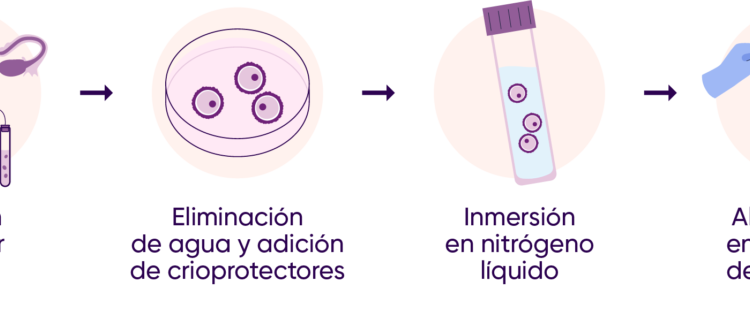 Criopreservación de ovarios como medida ante la menopausia