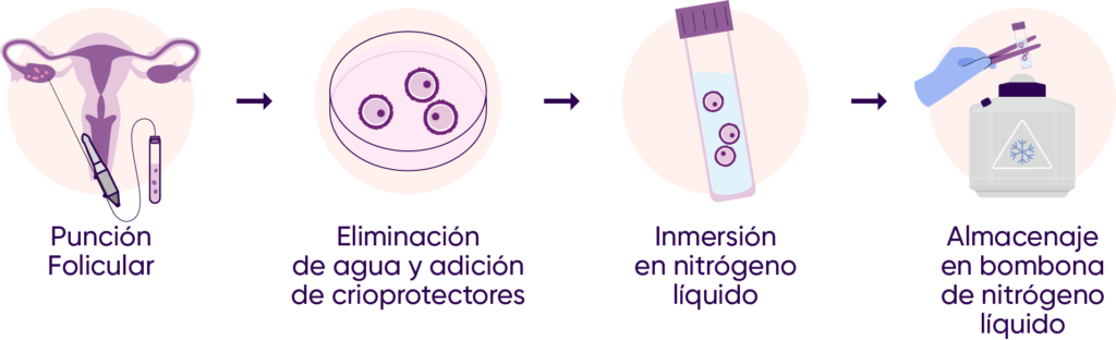 Criopreservaci n De Ovarios Como Medida Ante La Menopausia Blog criopreservaci-n-de-ovarios-como-medida-ante-la-menopausia-blog